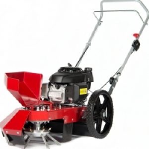 600x522_3829-Limpar[1]